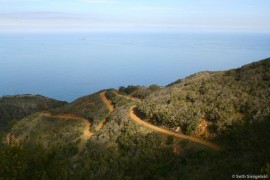 Trans-Catalina Trail