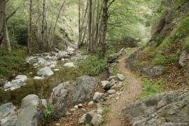 Fish Canyon Trail