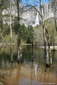Yosemite Falls