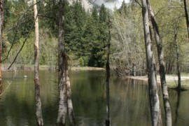 Yosemite Falls