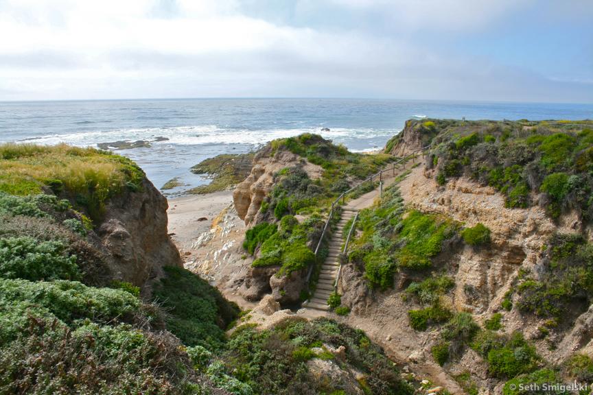 Corallina Cove Montana de Oro State Park tide pool photo Seth Smigelski Central Coast California