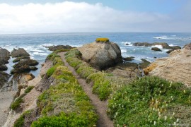 Montana de Oro Bluffs