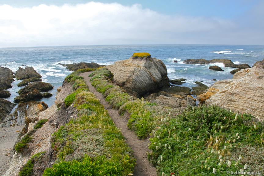 Bluff Trail Morro Bay State Park photography Seth Smigelski Ocean Landscape outdoors Central Coast California