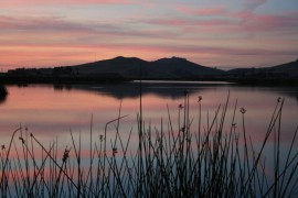 Laguna Lake