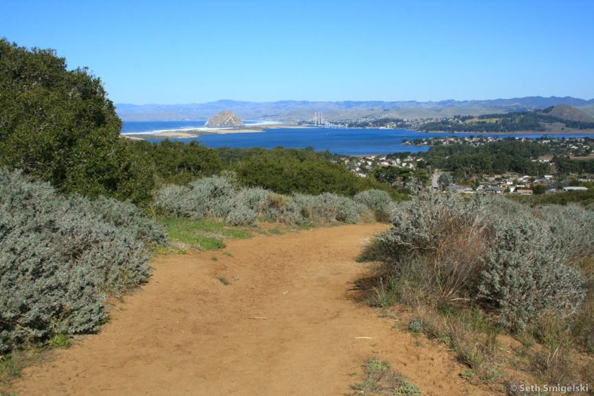 Morro Dunes Ecological Reserve photo Seth Smigelski Los Osos California